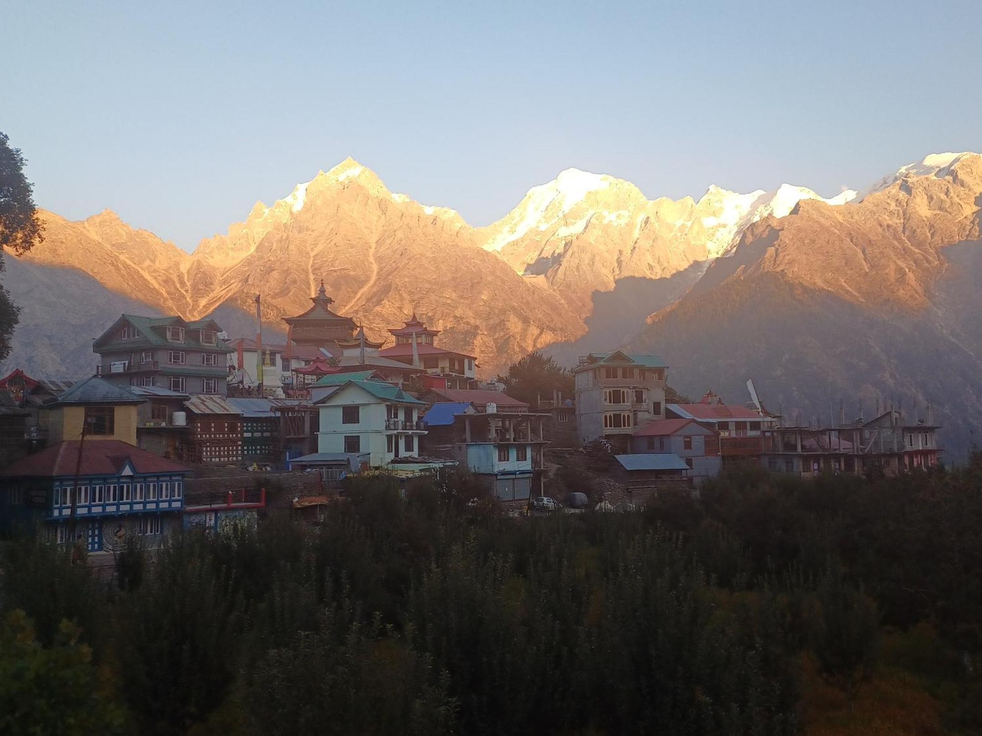 Pine View Retreat Homestay Kalpa Kültér fotó